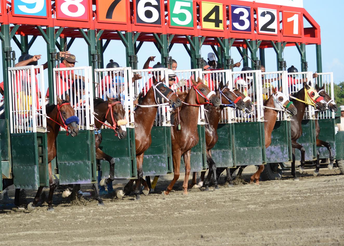 Hipódromo V Centenario / Foto cortesía de colimdo.org