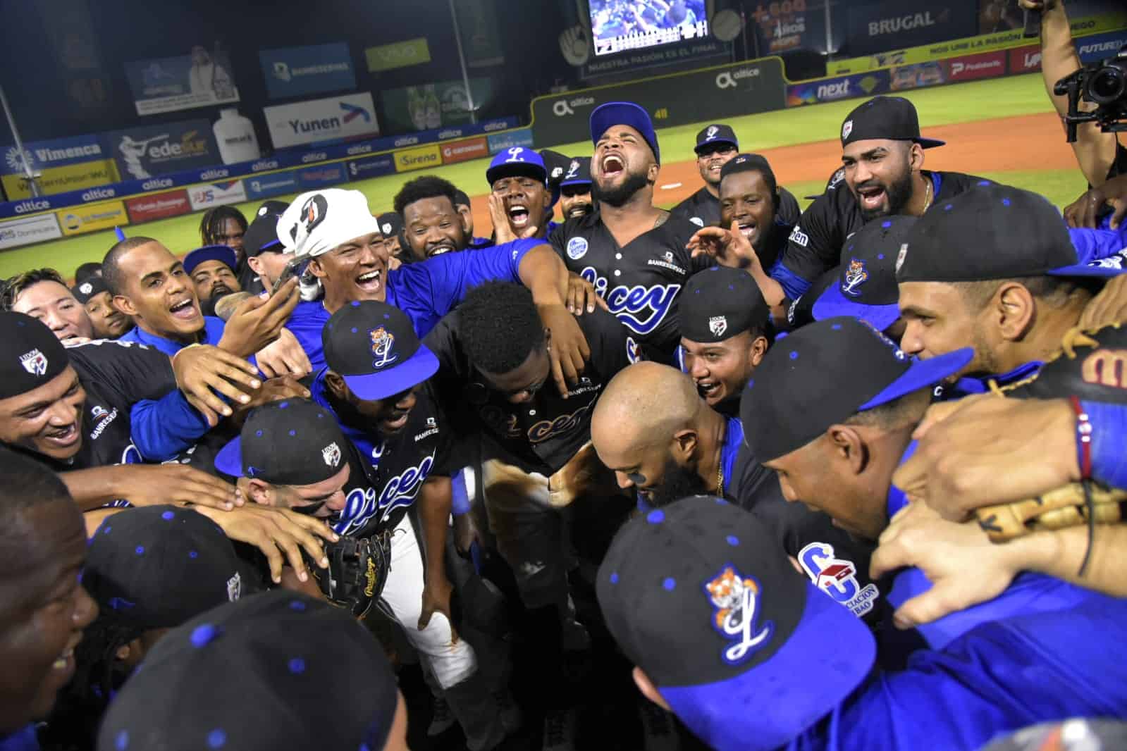 Los jugadores del Licey celebran triunfo que lo lleva a la final. / Foto de Félix León / DiarioLibre.com