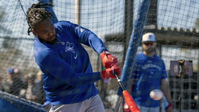 Vladi Jr