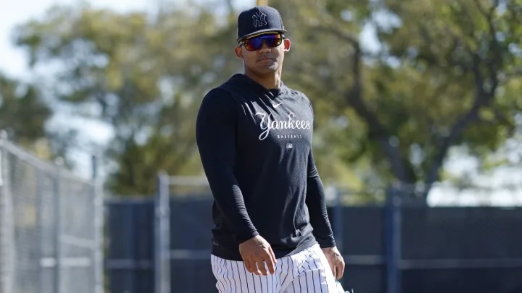 jasson dominguez