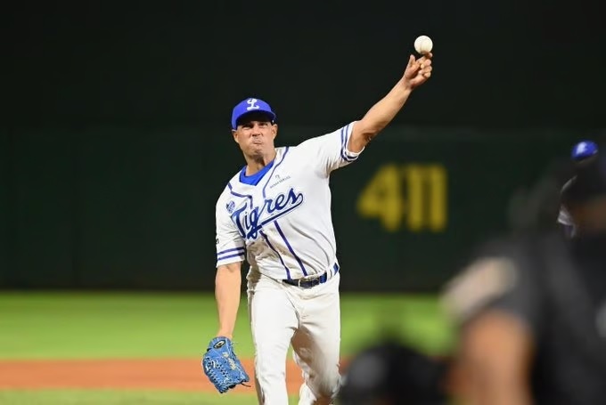 Raúl Valdés licey