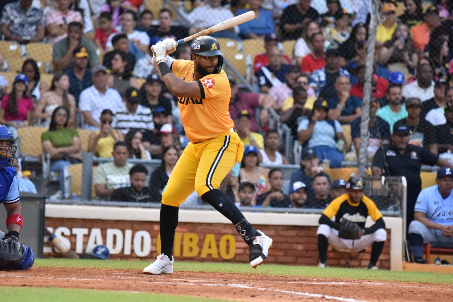 aguilas cibaeña