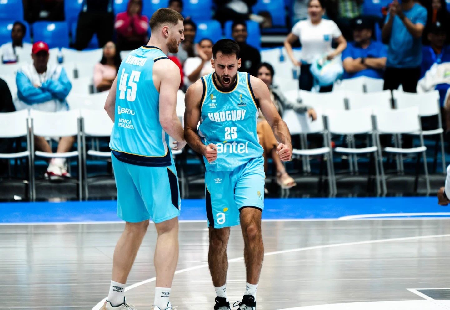copa america basquet