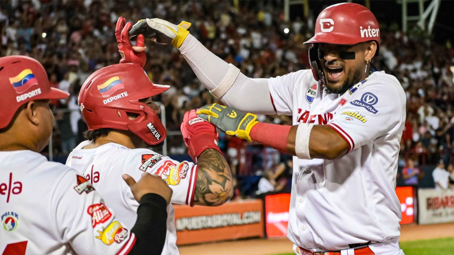 Leones lvbp