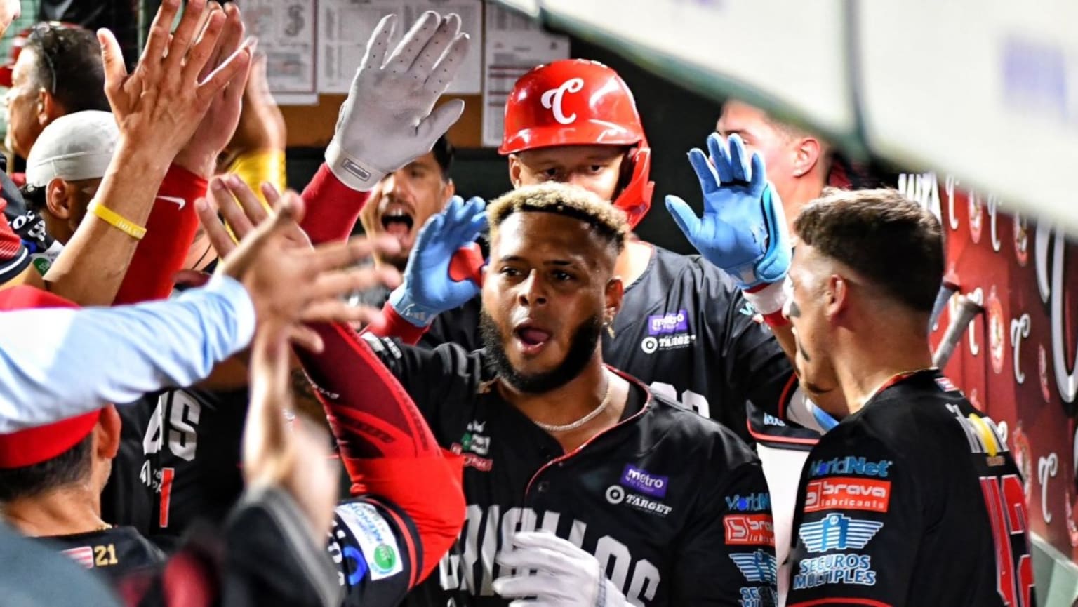 PR CRIOLLOS