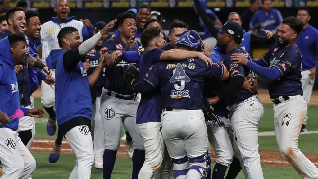 Navegantes